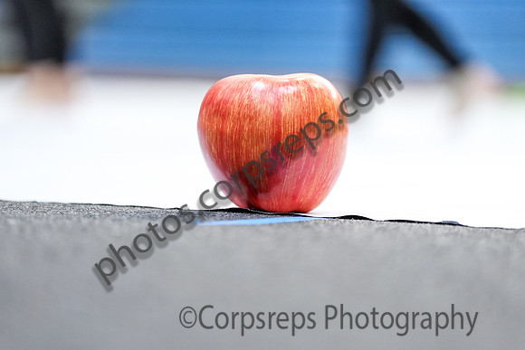 Quakertown Guard_250125_Spring-Ford-00407