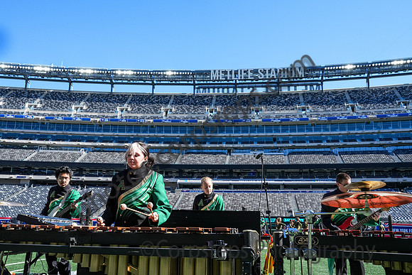 Audubon_241012_MetLife Stadium-00660