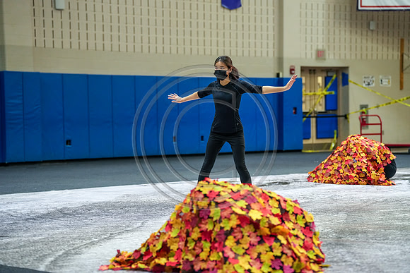 Phoenixville Guard_220122_Spring-Ford-00928