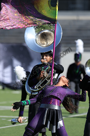 Magnolia_241109_ Katy-cb00025