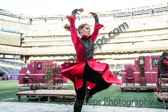 Madison_241012_MetLife Stadium-01385