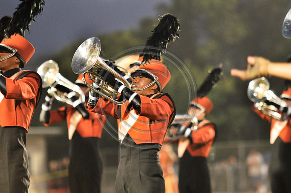 Mandarins_100702_Vista-0564