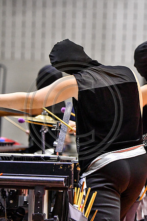 Cab Calloway Drumline_190330_Spring-Ford-4395