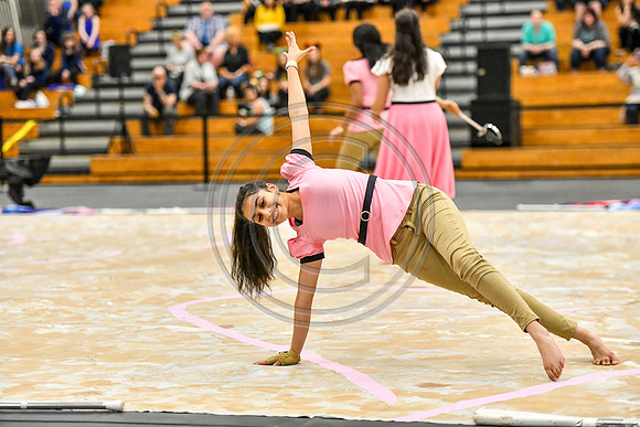 N-8 Winterguard Novice_190413_South Brunswick-4196