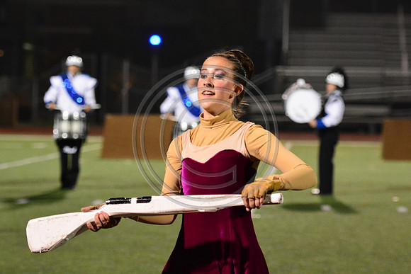 Nazareth Area High School  Blue Eagle-1213