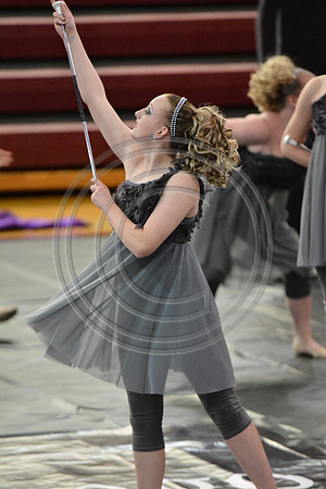 Bald Eagle Twirlers-480