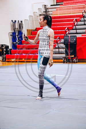 N-8 Winterguard_190202_Hillsborough-2-4