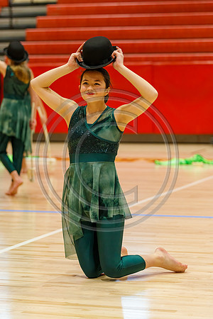 Our_Lady_of_Good_Counsel_Guard_230204_Hillsborough-JB00033