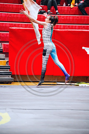 N-8 Winterguard_190202_Hillsborough-2-48