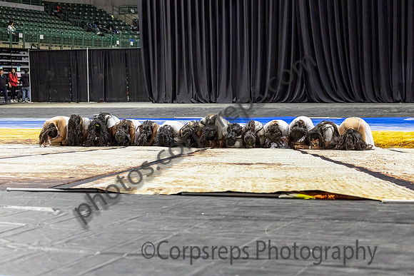 John P Stevens Guard_240420_CURE Arena-JB00001