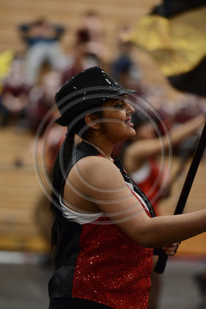 St. Francis Prep Guard-438