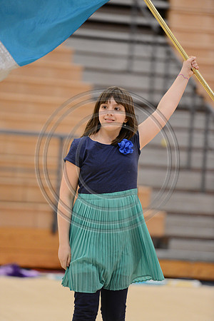 Haddon Heights Short Circuit Guard-009