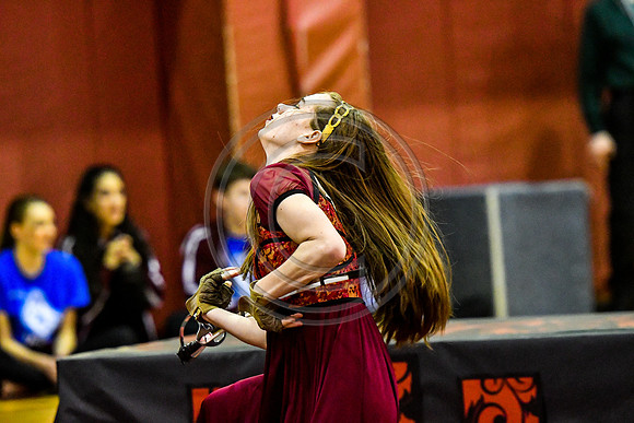Avon Grove Maroon Guard_180317_Avon Grove-3-29