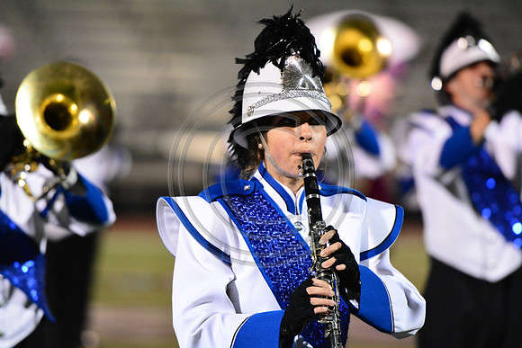 Nazareth Area High School  Blue Eagle-1226