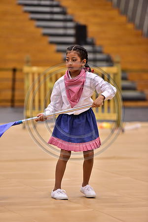 Pegasus Too JR Guard-191