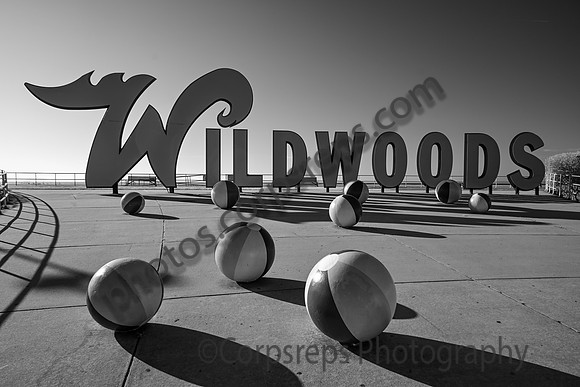 _240502_Wildwood-XX00020
