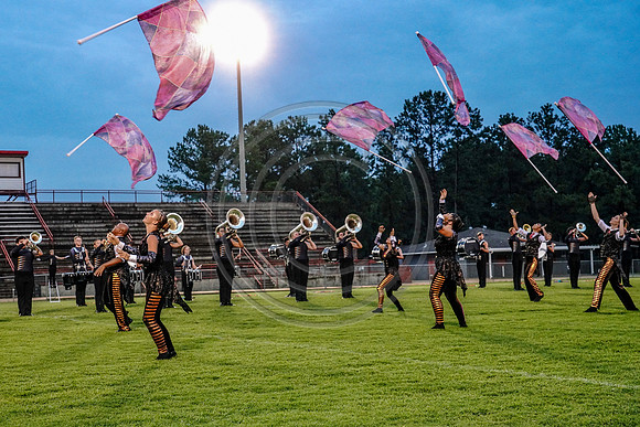 Carolina Gold_190713_Millbrook-03290