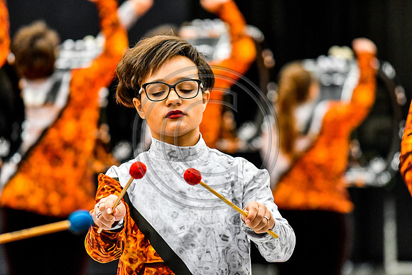 Darkhorse Percussion_170504_Wildwood-4617