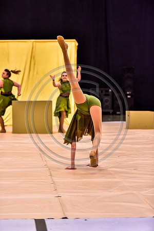 Northern York MS Dance_170505_Wildwood-7984