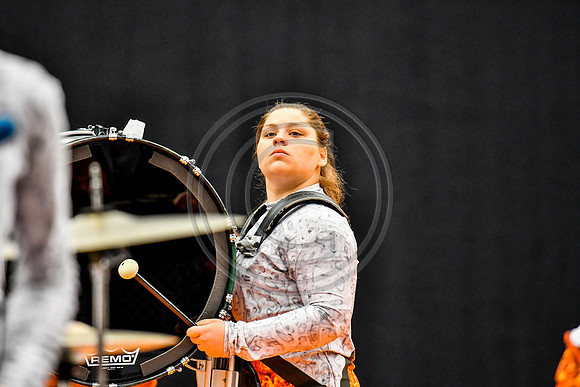 Darkhorse Percussion_170504_Wildwood-4619