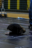 Pequannock Guard_250406_Brick Memorial-AL0004