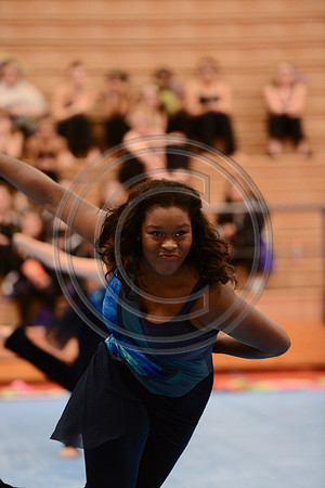 Haddon Heights High Voltage Guard-709