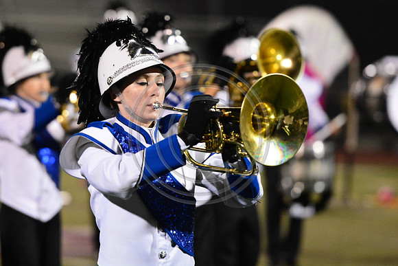 Nazareth Area High School  Blue Eagle-1227