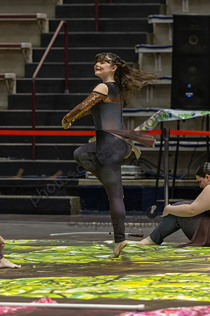 Sacrad Heart University Winter Guard_250323_Liberty High School-JB00506