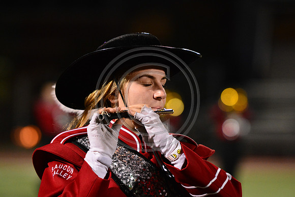 Saucon Valley High School Panthers Marching Band-222