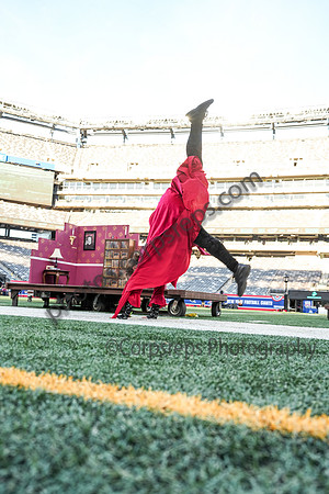 Madison_241012_MetLife Stadium-01379