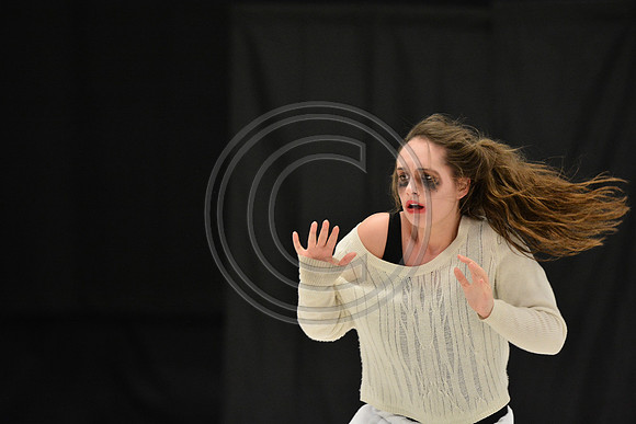 Co-Motion A Dance-5383