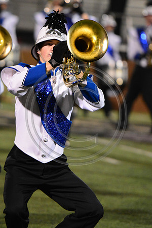 Nazareth Area High School  Blue Eagle-1223