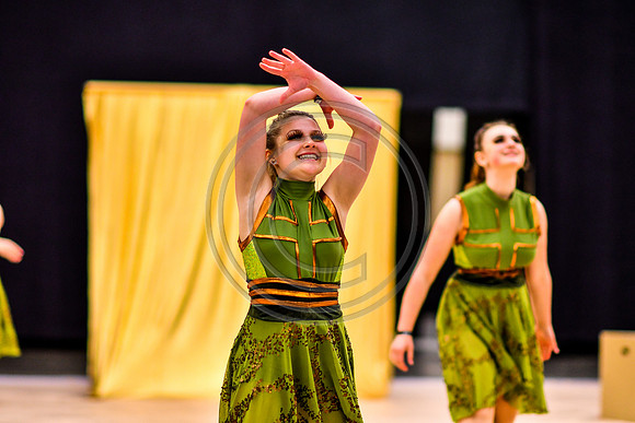 Northern York MS Dance_170505_Wildwood-7506