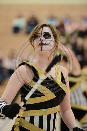 Bloomfield Guard-531