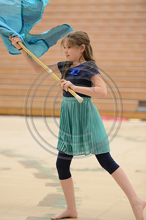 Haddon Heights Short Circuit Guard-026