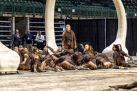 Main Line Independent Guard_240421_CURE Arena-JB00004