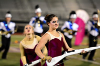 Nazareth Area High School  Blue Eagle-1200