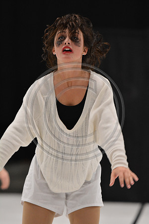Co-Motion A Dance-5408