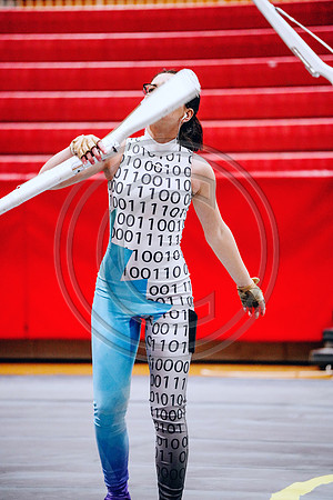 N-8 Winterguard_190202_Hillsborough-2-40
