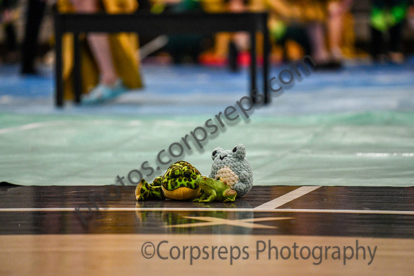 Requiem Regional Guard_250322_Lake Lehman-DJK01607