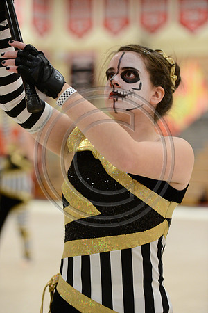 Bloomfield Guard-535
