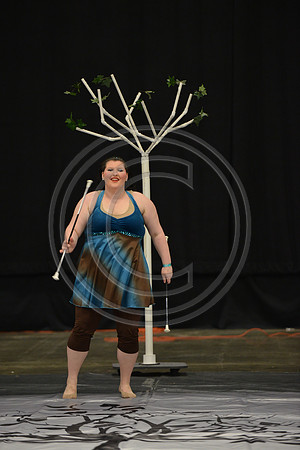 Bald Eagle Area Twirlers-4571