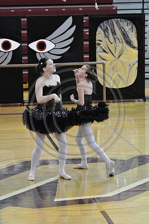 Northwestern Lehigh Twirlers-395