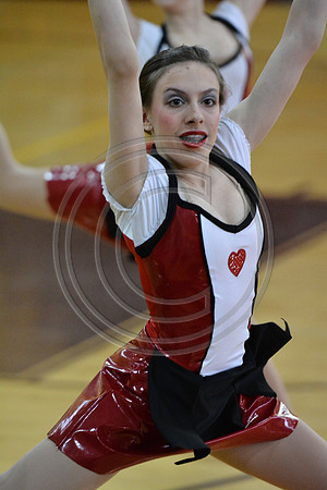 Rhythm in Motion A Dance-298