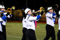 Nazareth Area High School  Blue Eagle-1208