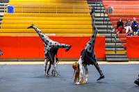 Westfield JV Guard_250201_Hillsborough HS-JB00013