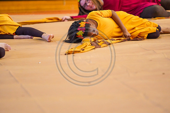 Springton Lake MS Guard_190209_Penncrest-7303734