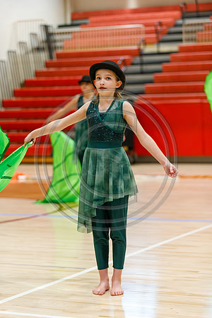Our_Lady_of_Good_Counsel_Guard_230204_Hillsborough-JB00008