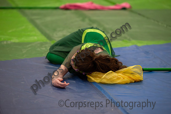 Timber Creek Guard-003