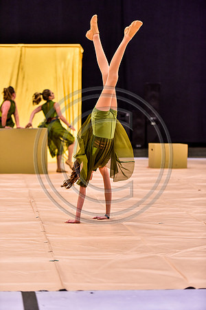 Northern York MS Dance_170505_Wildwood-7983